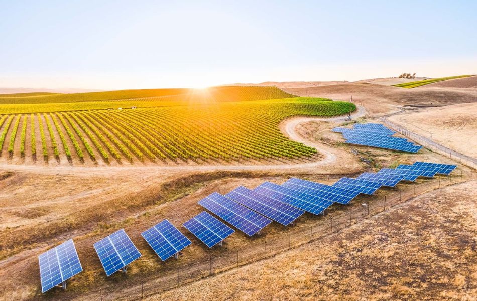 Relax, Connect, Celebrate: Step Into the SIP Certified Lounge at the 2025 Sustainable Ag Expo